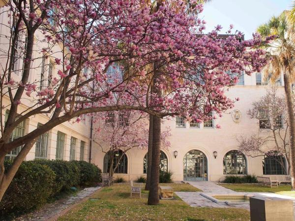 Image of campus building