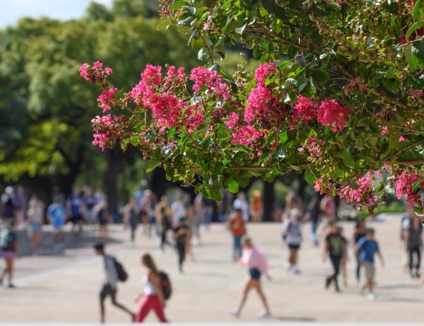 Image of students walking on campus