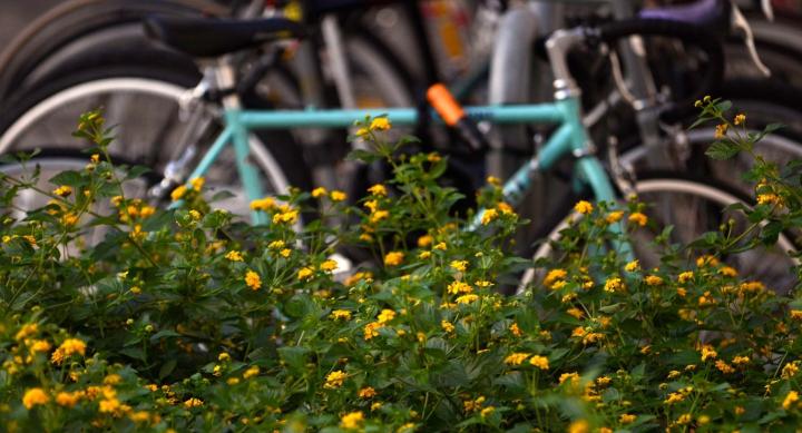 Image of bicycle
