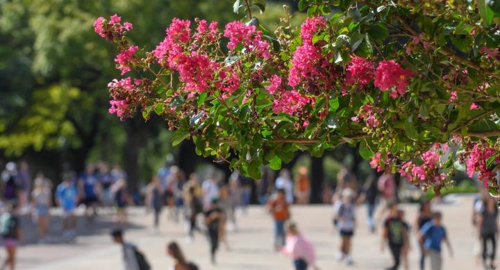 Image of students walking on campus